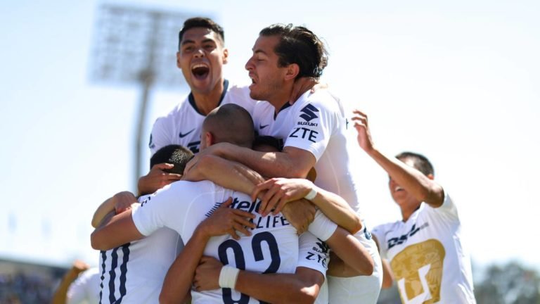 22 11 19 PUMAS