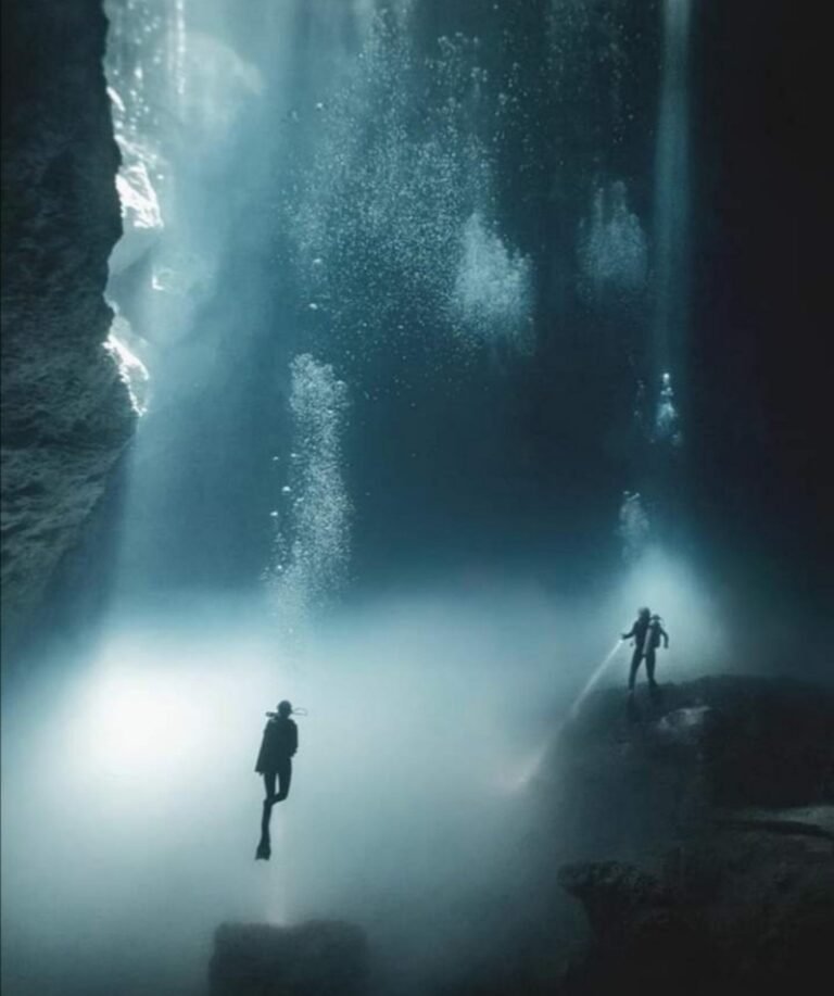 buceo foto prem